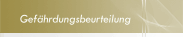 Gefährdungsbeurteilung